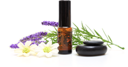 1621390117123944.png about-bot.png